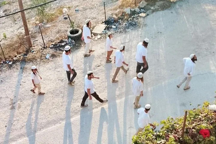 إصابة 3 مواطنات جراء اعتداء مستعمرين عليهن في قرية تل